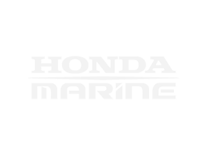 TG 6.9 + Honda