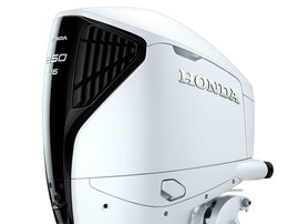 26YM BF 250 DK1 DWB NH565 aws 01