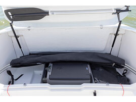 025 Silver-Puma-BRZ-21YM-det-039